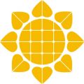 飛翔的紅蜻蜓新版APP