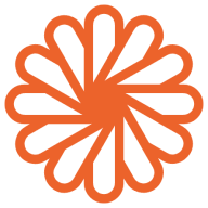 轉(zhuǎn)手繪App正式版