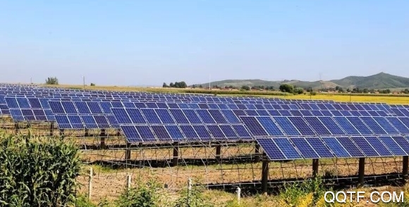 舒蘭融媒體app安卓版 舒蘭融媒體app安卓版