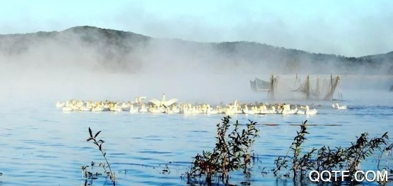 舒蘭融媒體app安卓版 舒蘭融媒體app安卓版