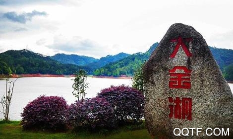 天地泰寧app手機(jī)版