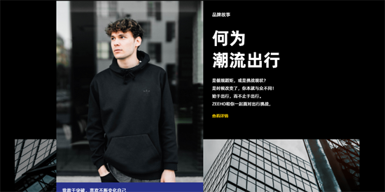 ZEEHO極核最新版