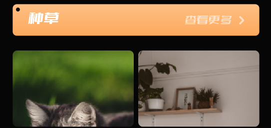 49圖庫(kù)app