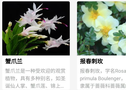 植侶app安卓版