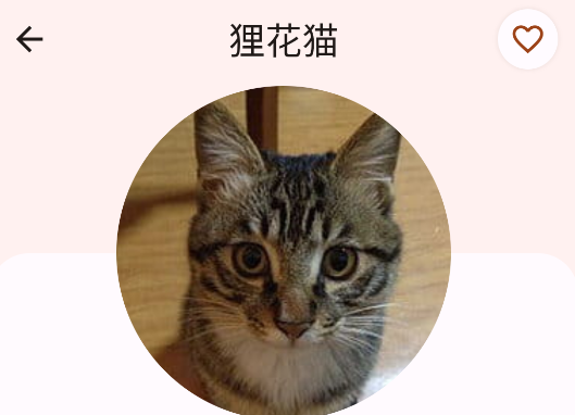 貓品種大全app正版