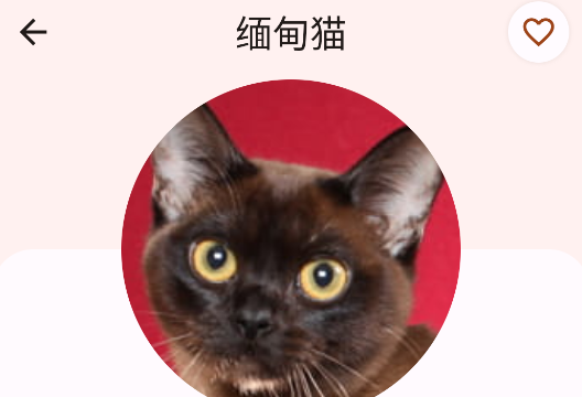 貓品種大全app正版