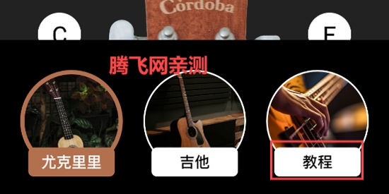 tuner t1調(diào)音器app官方版