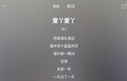 軟音音樂播放器正版