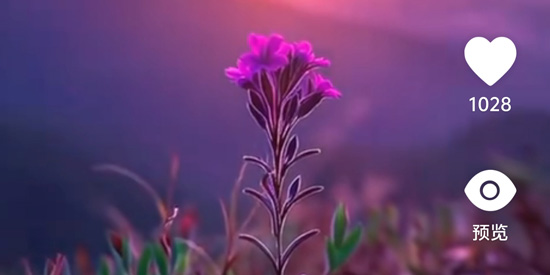 桌面養(yǎng)魚壁紙app官方版 桌面養(yǎng)魚壁紙app官方版