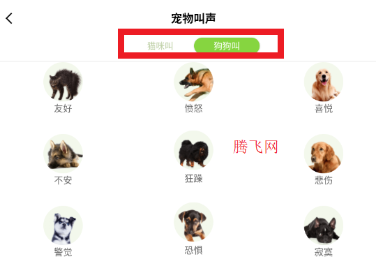 動(dòng)物聲音模擬器app安卓版