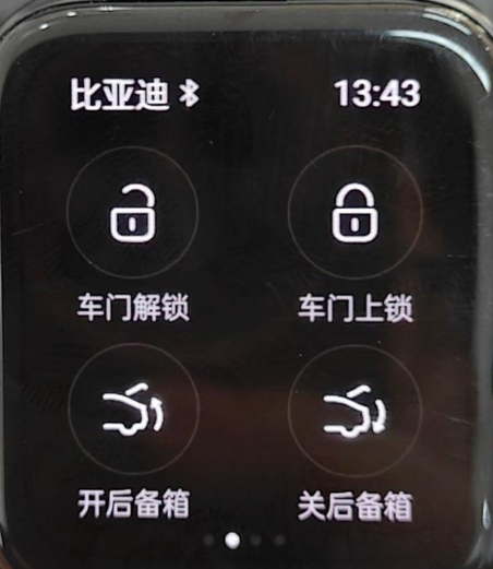 比亞迪汽車APP手表版