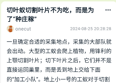 好奇時(shí)刻app正版