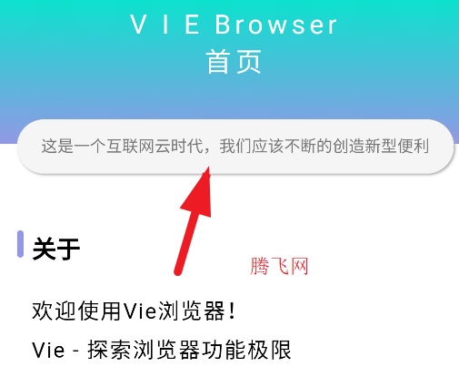 Vie瀏覽器app手機版 Vie瀏覽器app手機版