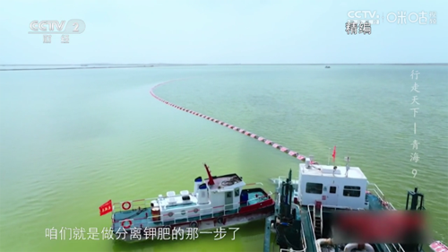 榴芒直播tv版最新版本