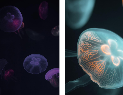 輕享壁紙app安卓版 輕享壁紙app安卓版