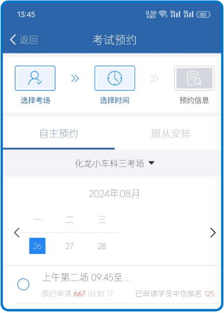 大象駕到Pro app官方版