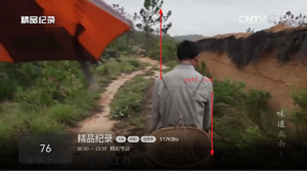 小飛電視app最新版