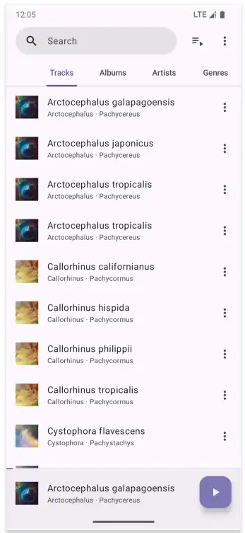 Phocid音樂(lè)播放器 Phocid音樂(lè)播放器