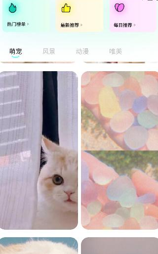 桃子壁紙高清app