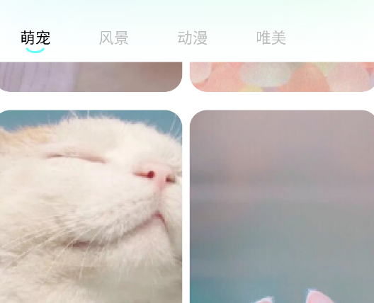 桃子壁紙高清app