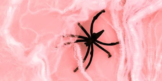 粉色美學(xué)壁紙app最新版(pink aesthetic H) 粉色美學(xué)壁紙app最新版(pink aesthetic H)