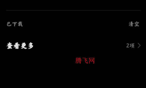 小米下載管理app提取版