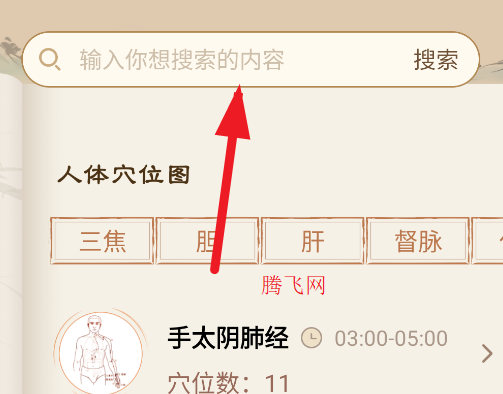 穴位經(jīng)脈詳解app安卓版
