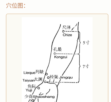 穴位經(jīng)脈詳解app安卓版