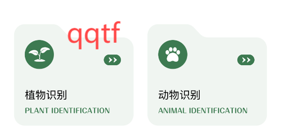 甲殼蟲工具箱app最新版