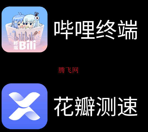 微思應(yīng)用商店apk安裝包手表版