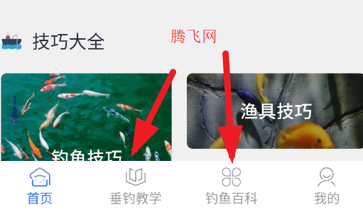 釣魚大咖官方版app