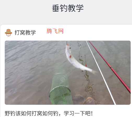 釣魚大咖官方版app