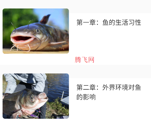 釣魚大咖官方版app