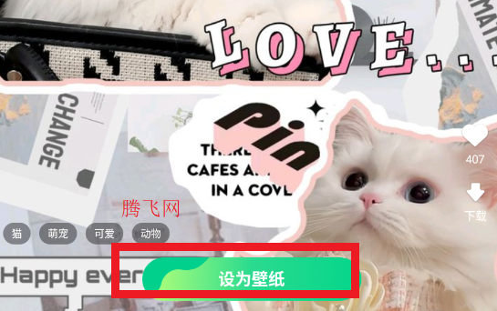 免費(fèi)多多壁紙app手機(jī)版