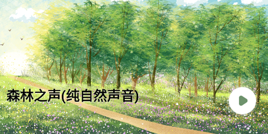 夜色之音app官方版