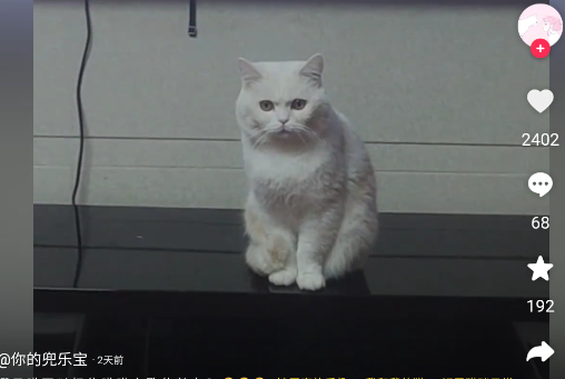 抖音網(wǎng)頁(yè)版登錄版 抖音網(wǎng)頁(yè)版登錄版