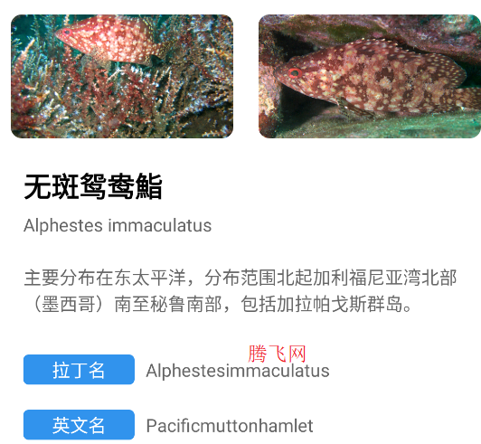 奇妙海洋app手機(jī)版 奇妙海洋app手機(jī)版