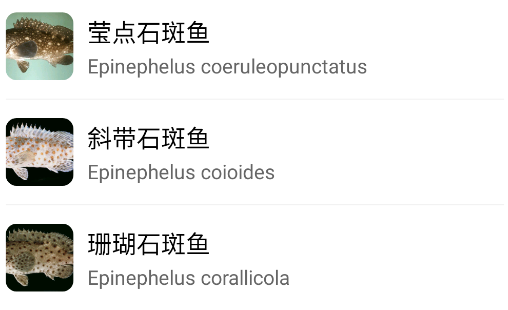 奇妙海洋app手機(jī)版 奇妙海洋app手機(jī)版