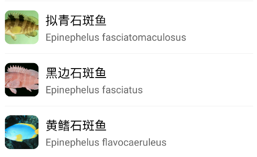 奇妙海洋app手機(jī)版 奇妙海洋app手機(jī)版