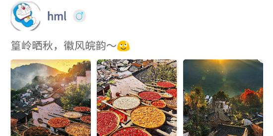 搭da噠app官方版