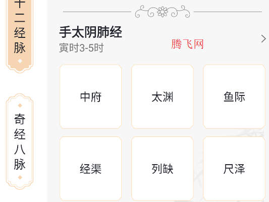 人體穴位圖解app手機(jī)版