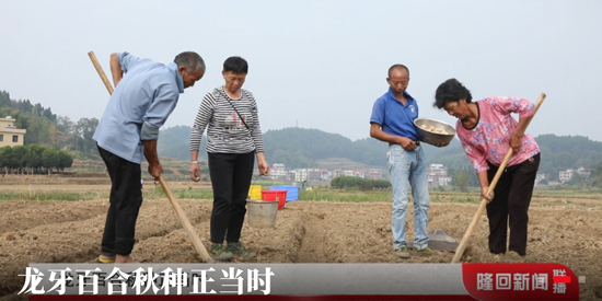 隆回發(fā)布app官方版 隆回發(fā)布app官方版