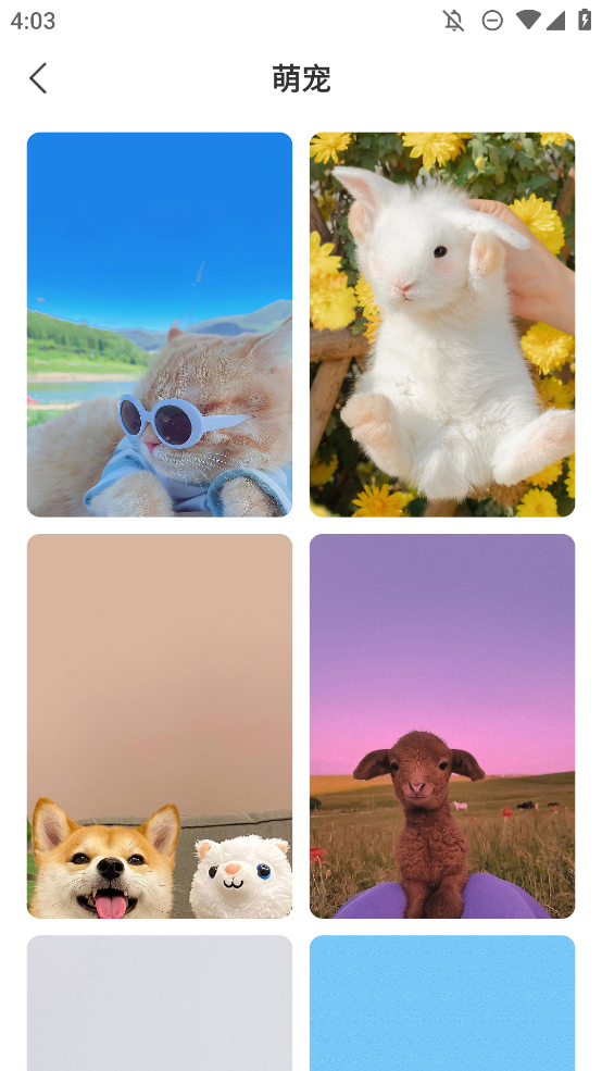 星匯壁紙安卓版