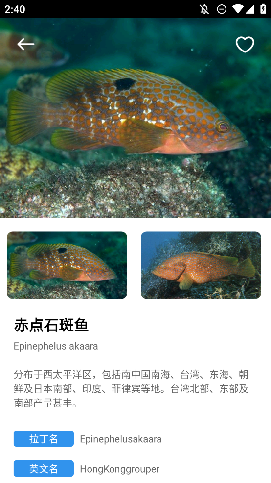 奇妙海洋手機(jī)版