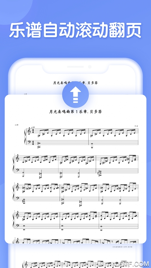 懂音律官方版