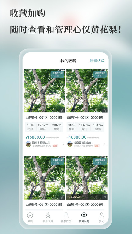 良木森林官方版APP
