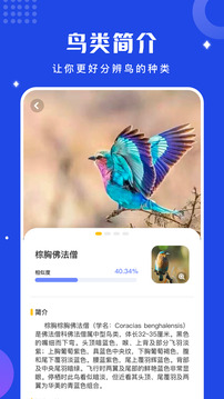 鳥語翻譯器最新版