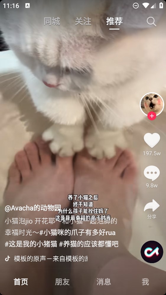 抖音香港版