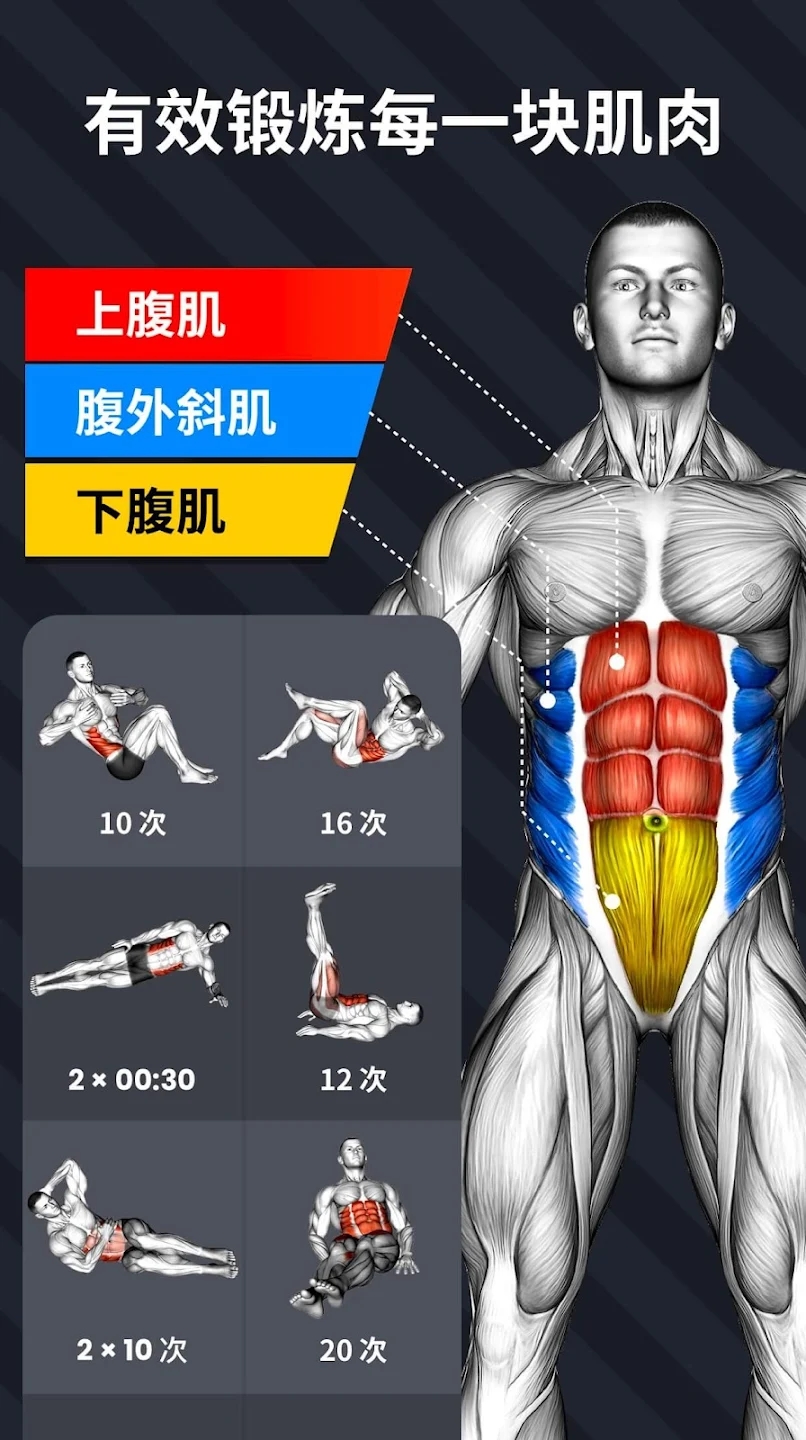 30天六塊腹肌訓(xùn)練APP新版