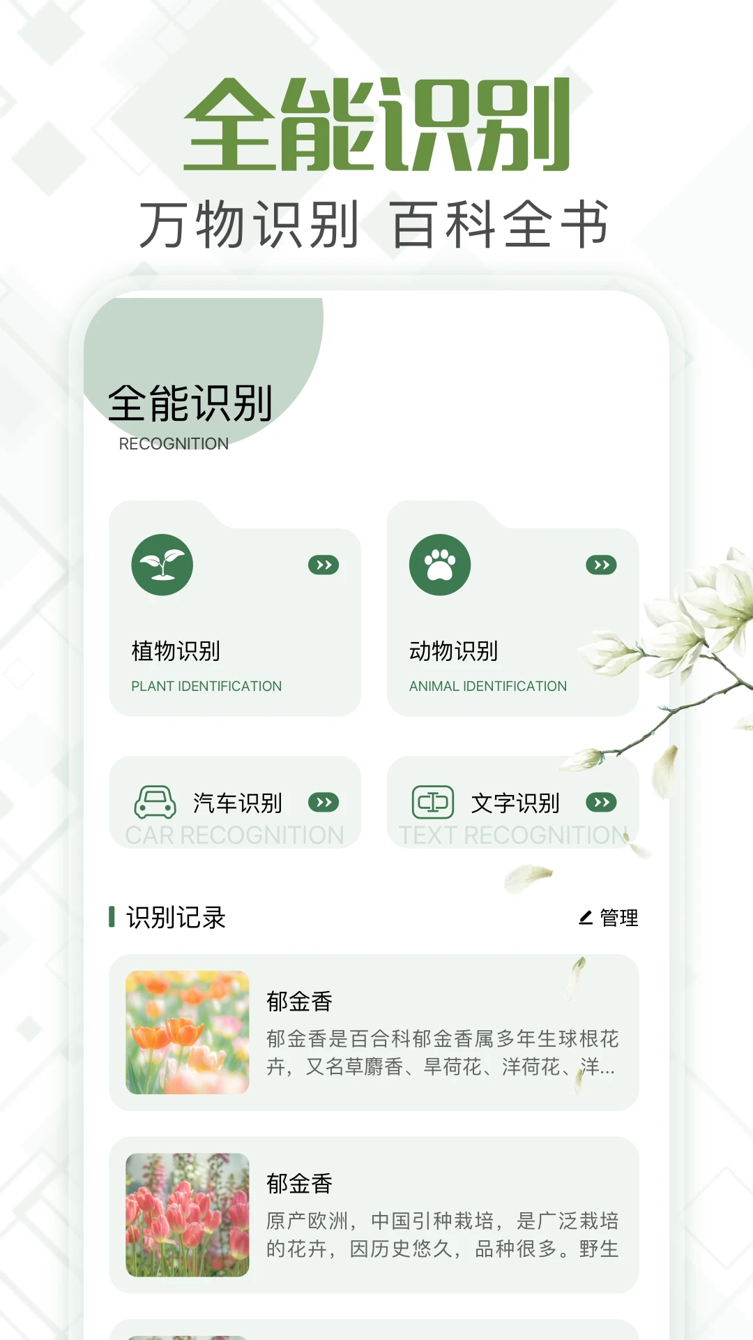 甲殼蟲工具箱最新版